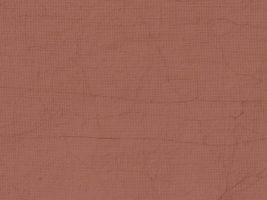 Festa d’estate della CAP La Nostra Casa alla Factory