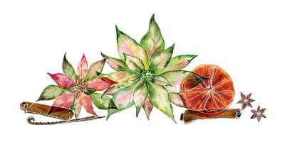 Festa di Natale a Casa dei Nonni